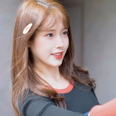 大毛狗
